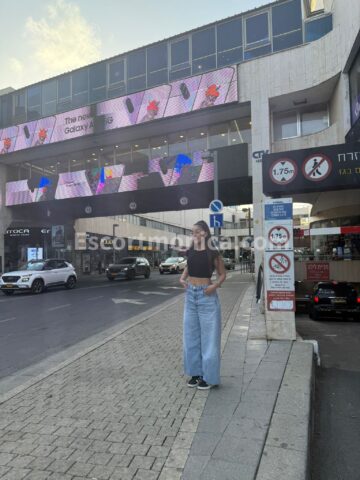 באיזור ירושלים • לטינית • הורסת
